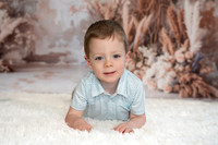 Hudson Cannon